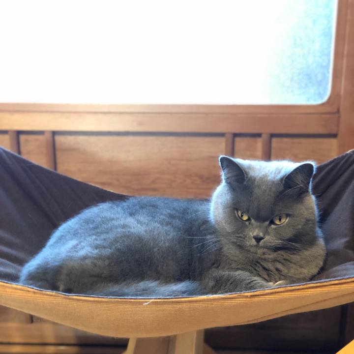 962a3333 8f8d 48db 811e d9ac2236669d 1576203148370