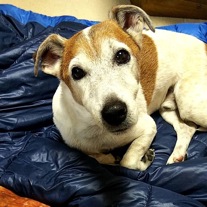 962a68f5 2c13 41b2 a5d2 64360459f2ed 1547501502079