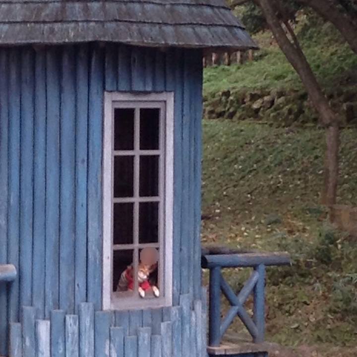 962a8645 be42 440a b0d0 5688b4e0a5f7 1509178763766