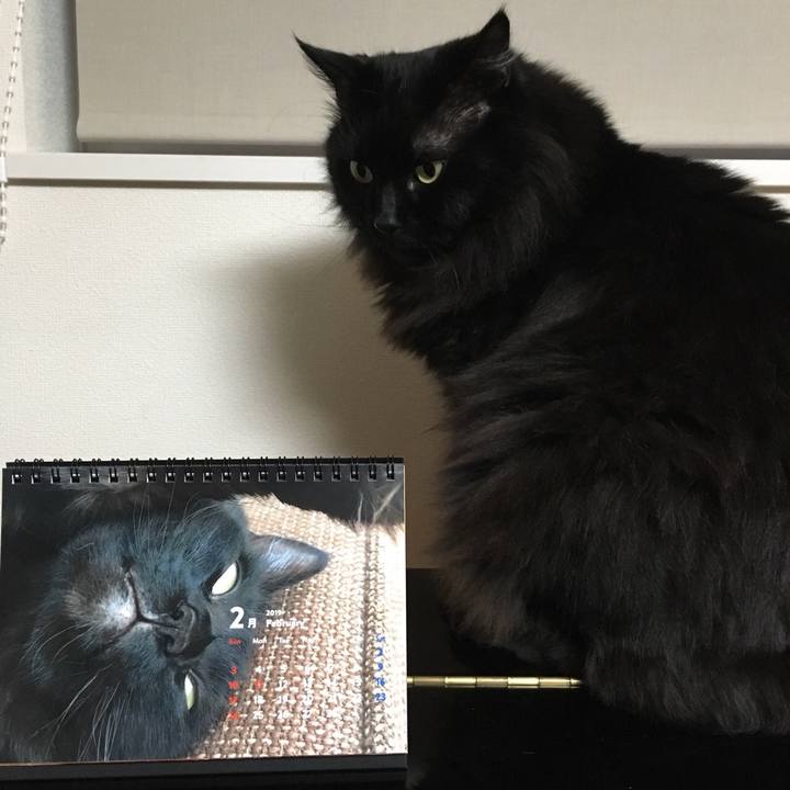 962b2ce4 ffb1 40fe a53c 41f2b546d422 1549354810586