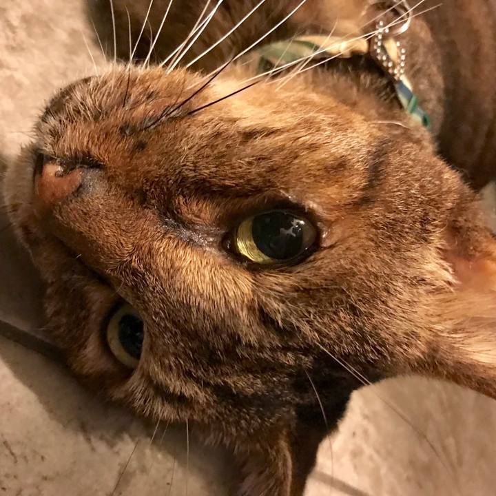 962b5832 3798 4b31 a73b 0dc562aac72f 1539213590211