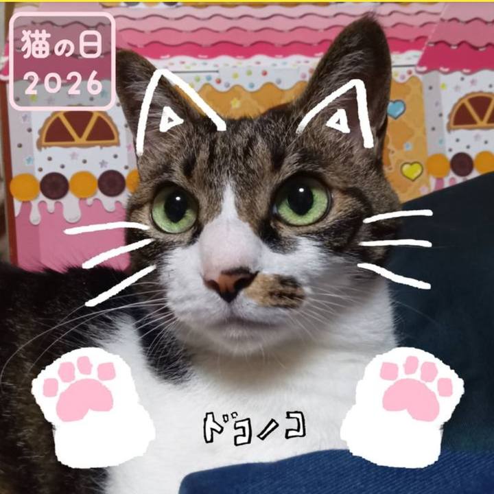 962b5dfe 9a97 485f b53d 7f90445c22b1 1771703388402