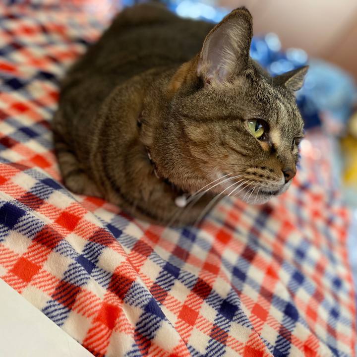 962b69e9 8071 4717 a522 b7dcef3de600 1635043317138