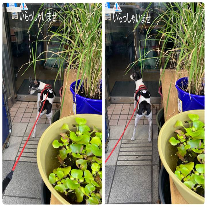 962ba9f1 e4dc 4b13 8d20 1181679d9f4e 1631746905590