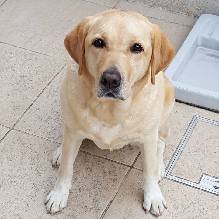 962bbf2c 6389 416c 8699 0ed24d01e43c 1509760840297