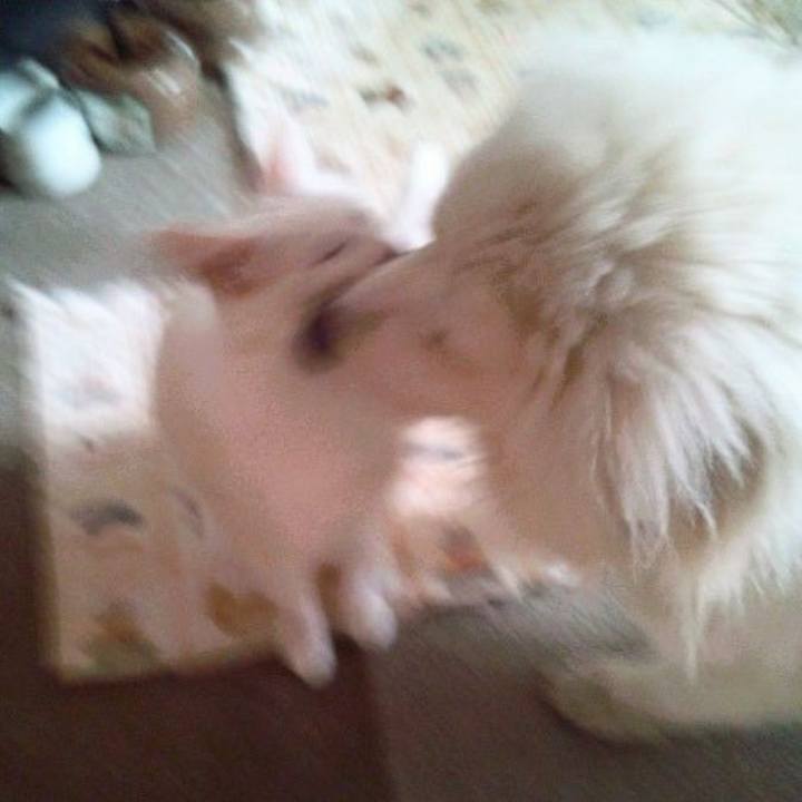 962bd438 2222 4eaa a7db f1d05ecb4c3d 1677281200660