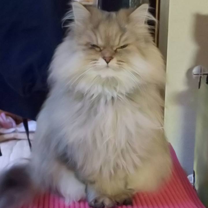 962bd9bb ab09 4d48 ac73 0d298bc3b2ac 1606089392129