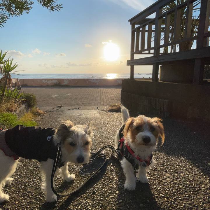 962bf347 8a46 48ca 98e7 b0377c555bad 1764288821425