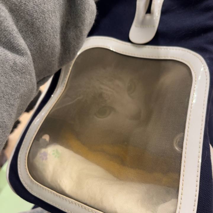 962c10a8 c13e 4248 ac23 a520cb6a70c3 1703923921201