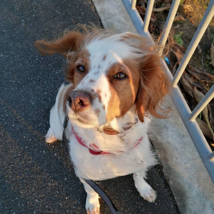 962c5bd6 1853 4b46 aa16 e91565dee83d 1577781370492