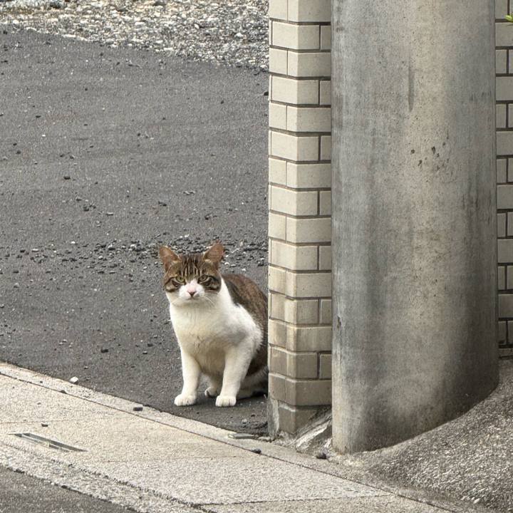 962c8aad a885 4c3b b2ef 3b020d557feb 1752547238816