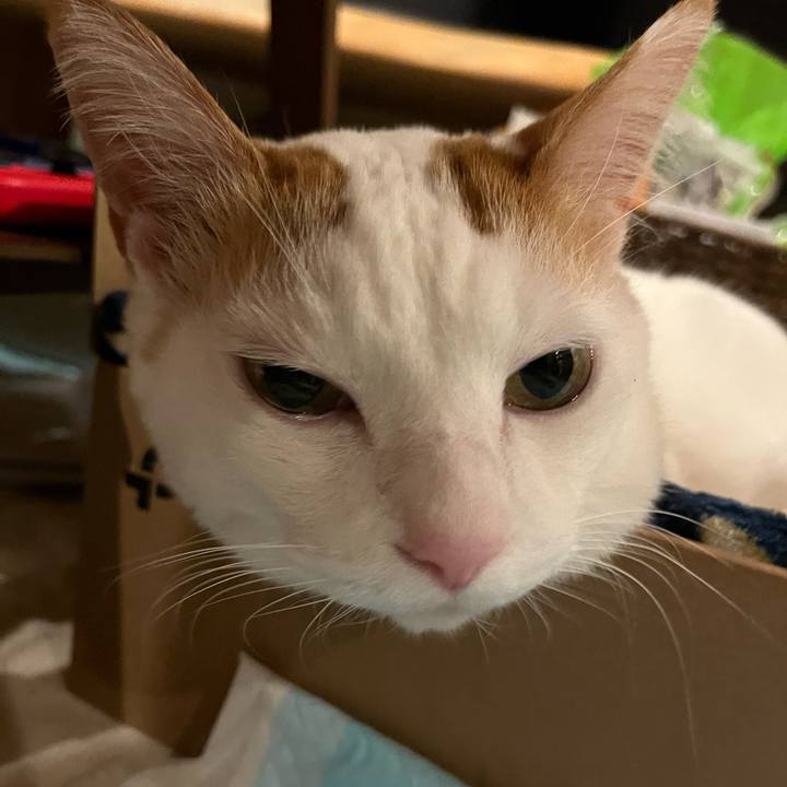 962cdc80 5cd0 4115 8395 10515281d9fd 1766181113158