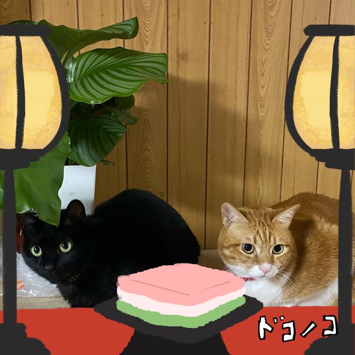 962cfb6b 1c60 4a79 9d87 e994a8c109a3 1741100839241