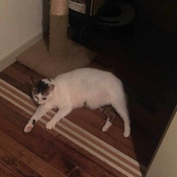 962d2922 10ac 42bf 8a57 9dde82964084 1530617956022