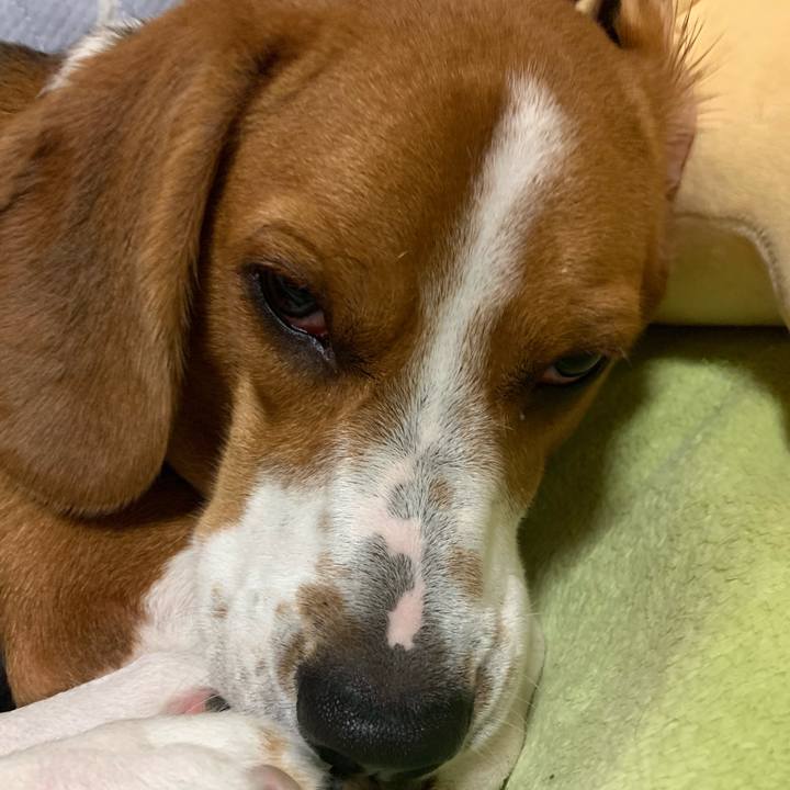 962d438d 0c18 4c52 92f7 bfd23be73e89 1569754219512