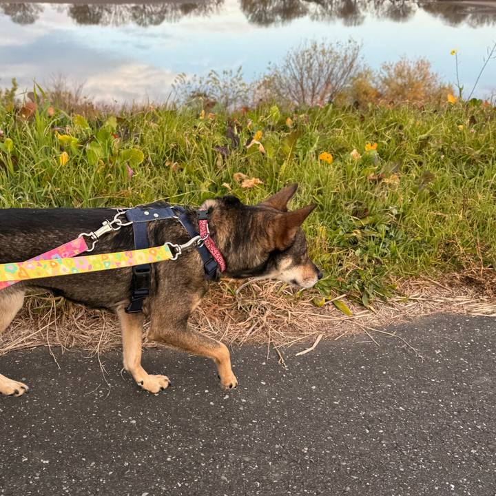 962d7f9f 02e2 4bc6 b163 54ffbc850d8a 1766243478794