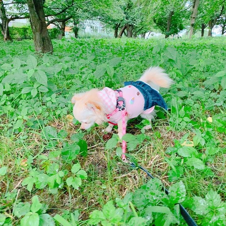 962da0a3 d3b4 4f2e a8e1 086e16863618 1626256887693