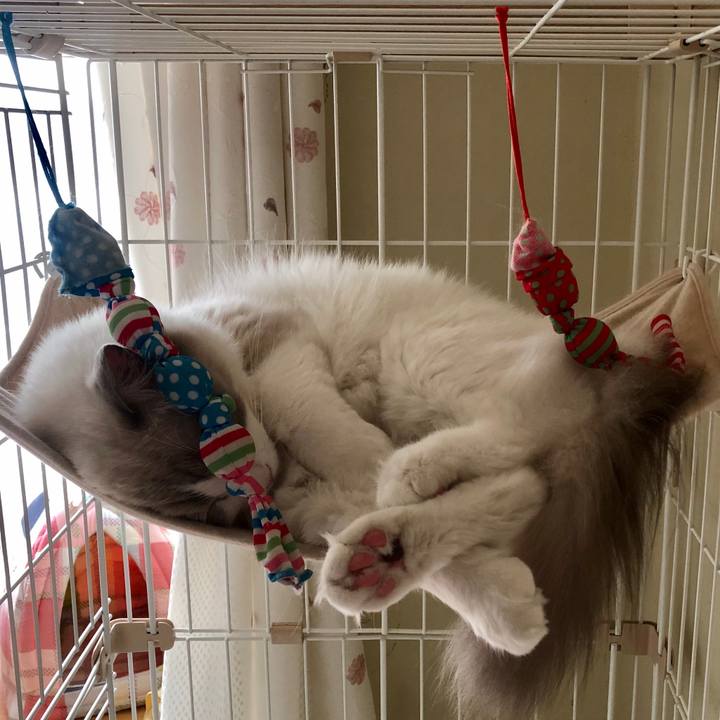 962db536 a42d 4650 8582 9cd75a708684 1566709318143