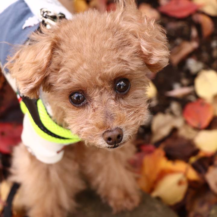 962de7a5 fd35 4be0 a89b 128982c2d16d 1604483240075