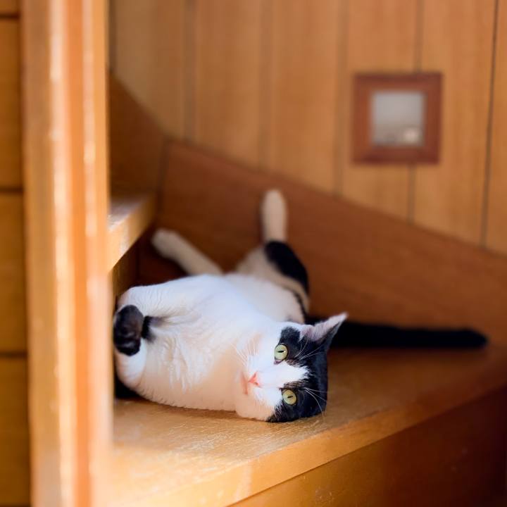 962dece7 7527 4507 8b05 3e6c4b2a1d4b 1593568516039