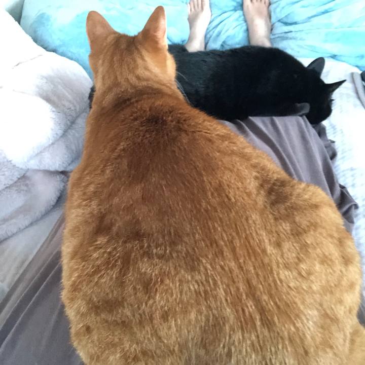 962dee38 ed8e 4d83 b9e7 e4fc99e407dd 1700031482397