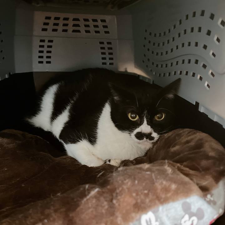 962e39ac 2fbc 4762 804d 4ed45a6189d0 1658555086041