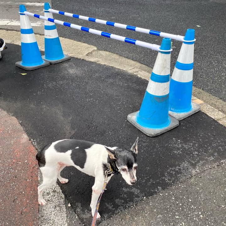 962e5991 c390 4c1b a9ee a0e8791ee561 1615603739487