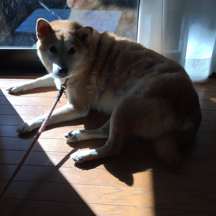 962e6068 0a9f 40c0 8978 8495e5cc1b78 1509341252079