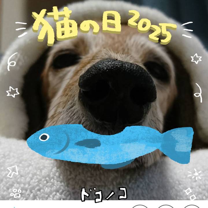 962e8859 1d49 40d3 9e2d 06c0d6963293 1740218519328