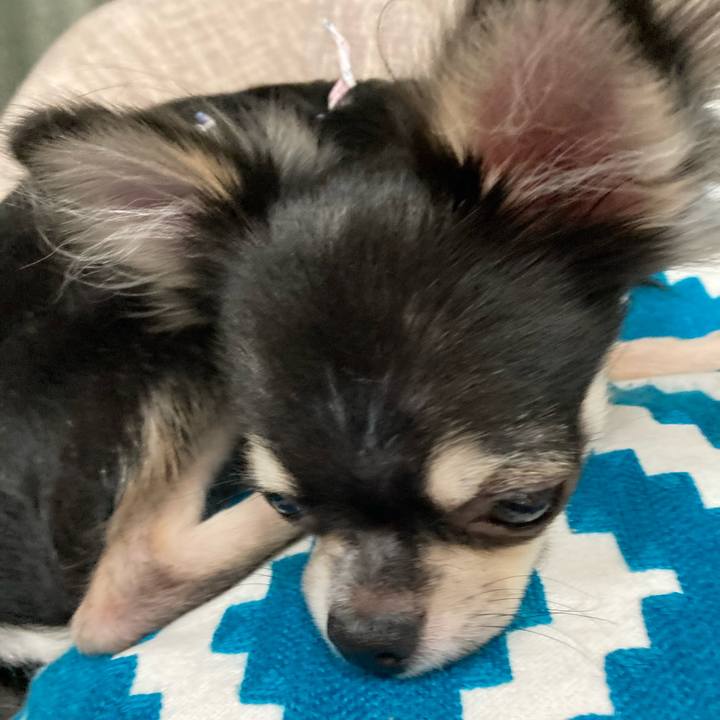 962e8e68 890c 431c b4e2 47fee806f4ef 1599229093332