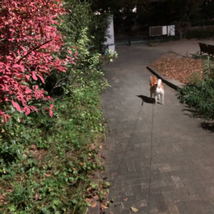 962ebcbe 5c2d 470e bd5d 0022085eb845 1607350382168