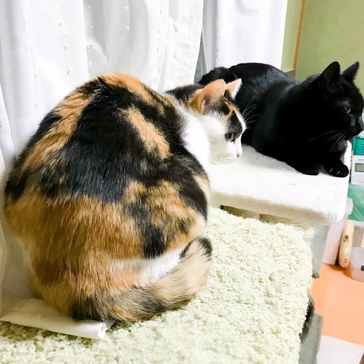 962ebe05 e3ab 4c5e 930a 890043bc009a 1520606288729