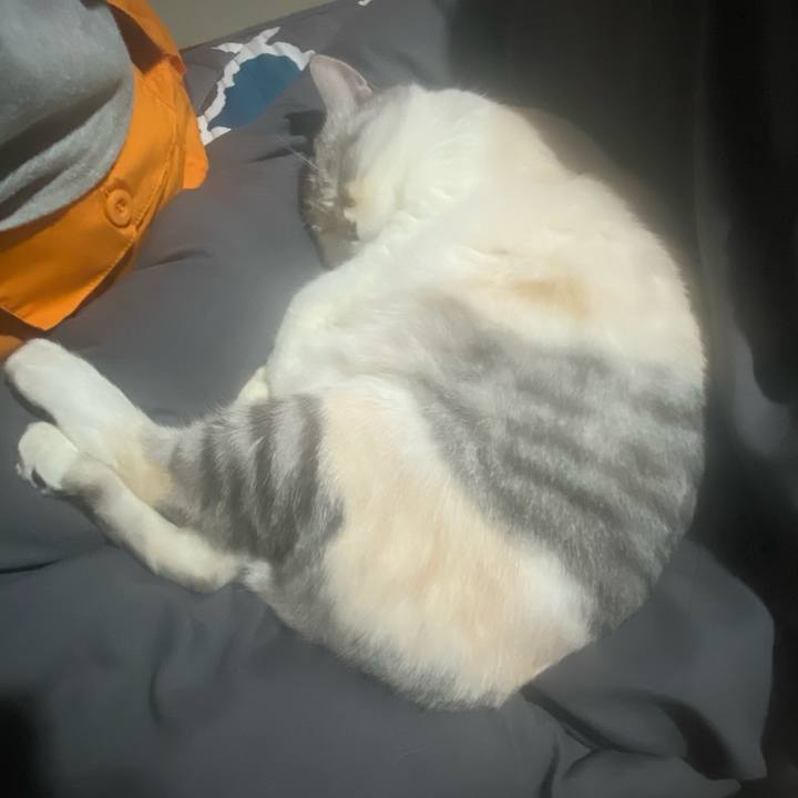 962ec93a 81e0 4c2c b625 7c5449679eb5 1763386299203