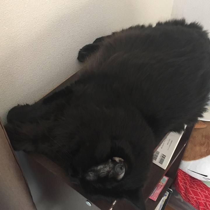 962ee7ea 4265 4c90 93f0 d3139967ee7e 1569653261147