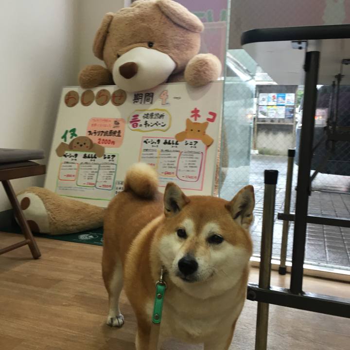 962ef1f0 6503 42e7 96a4 6b4cad08c3c0 1647592089006