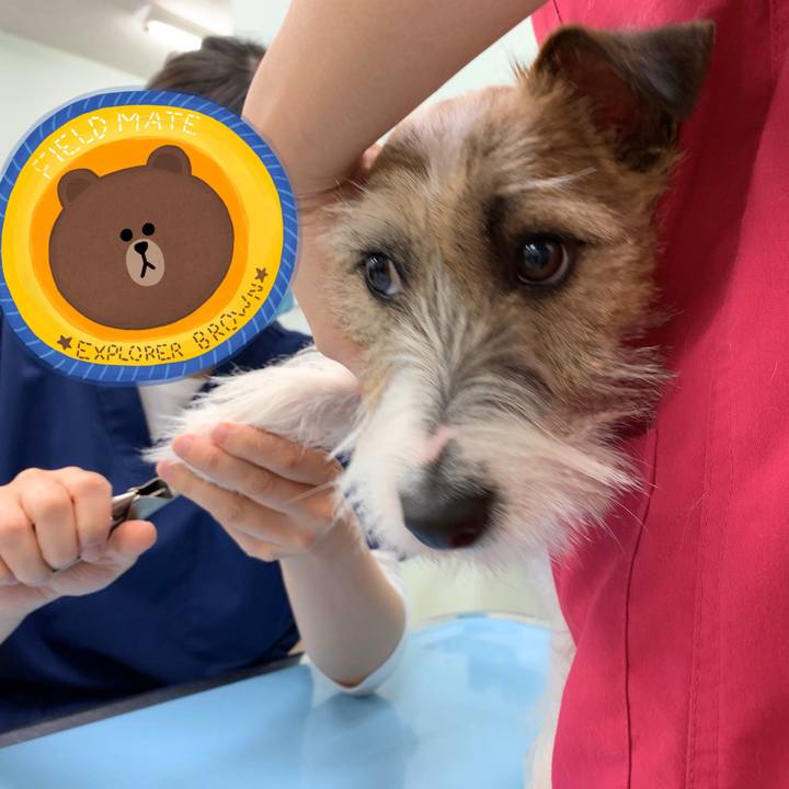 962f141f 1a86 4278 9fa0 493d69c58546 1579965165350