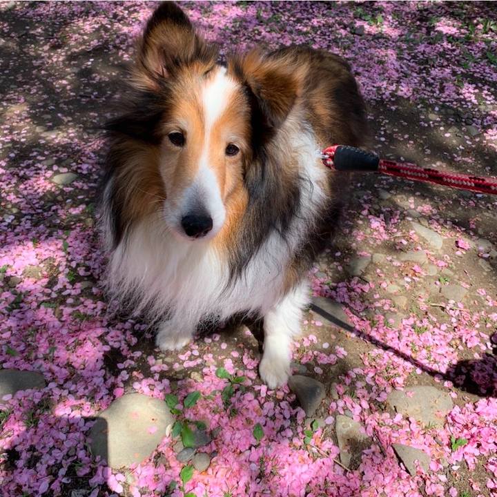 962f219e e943 4790 9f96 0efe0b862895 1746328629678