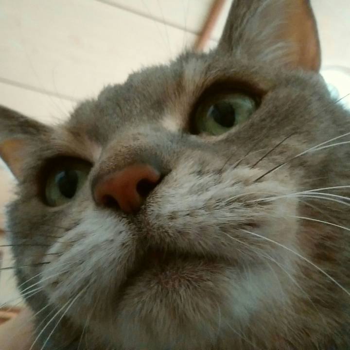 962f4da4 a7a1 4289 ae05 bb0f828129a9 1584570322886