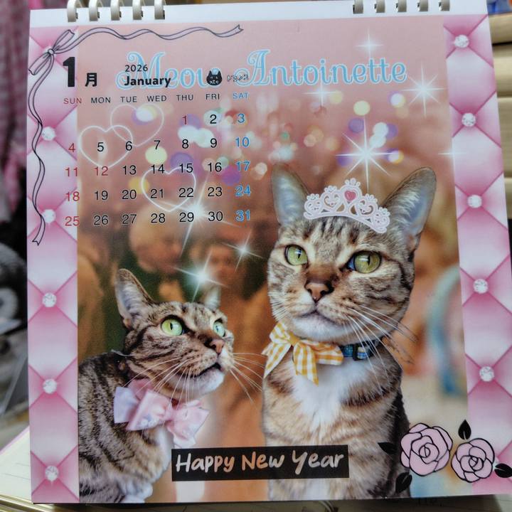 962f5436 c391 4c99 9cd0 62d257917d5b 1767238702681