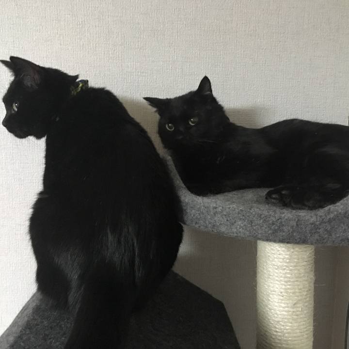 962f5584 0841 4f6d 9ac5 9ff2bfbd42ce 1534422937642