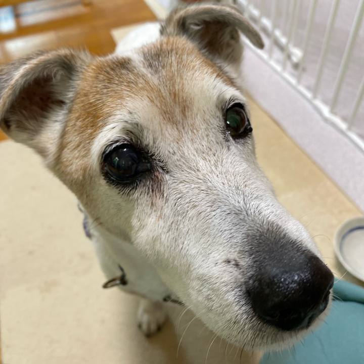 962f7c7e 8ac0 45d1 a750 2bb5275595f8 1656834046987