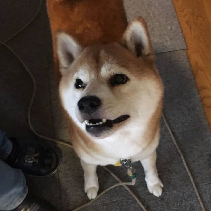 962f9ab5 65e7 409e 8f67 825a8c3b3a1e 1569640992876