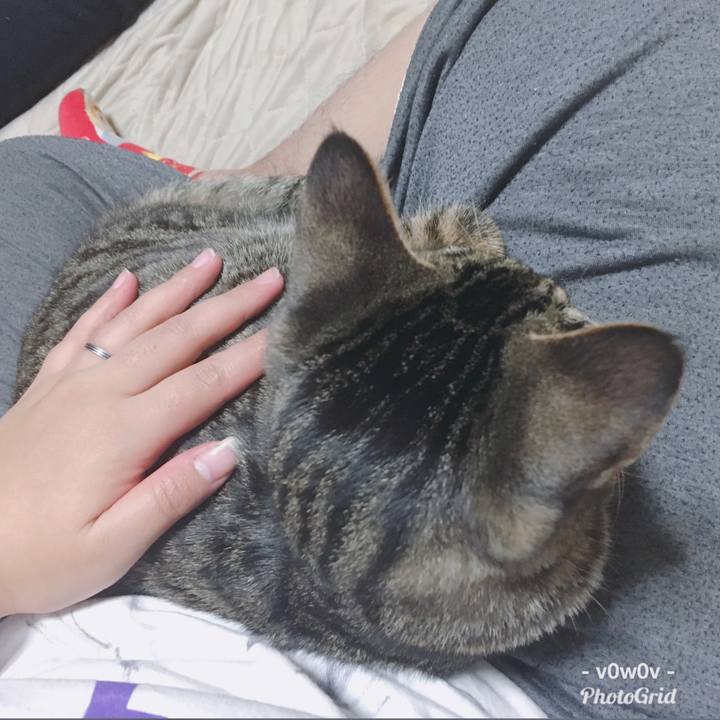 962fa043 9f29 42dc 8432 ea12c0e0019a 1545885574659