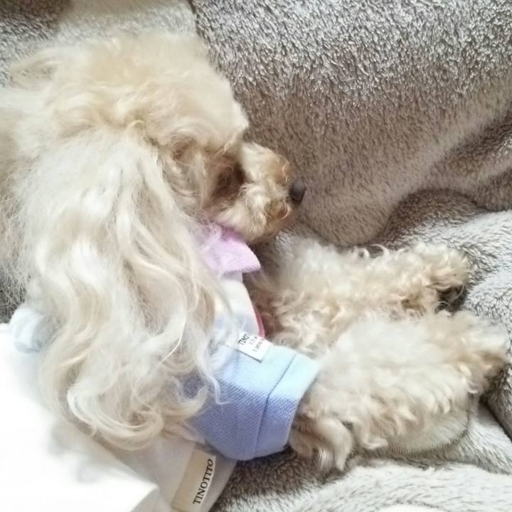 962fb0a7 1ff0 4457 ad5e 2e232eea3bc7 1526044031670