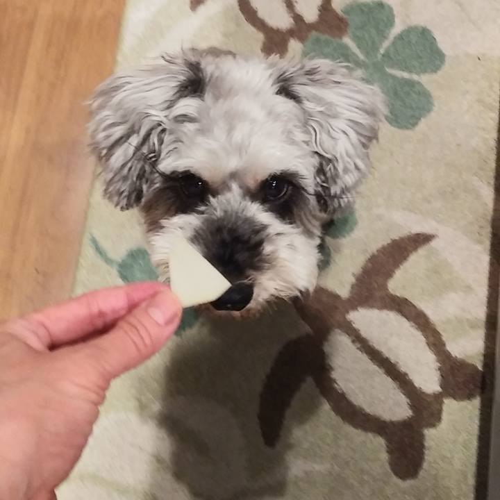 963020ca b26f 462c b8a0 eb87b33d818a 1647383296501