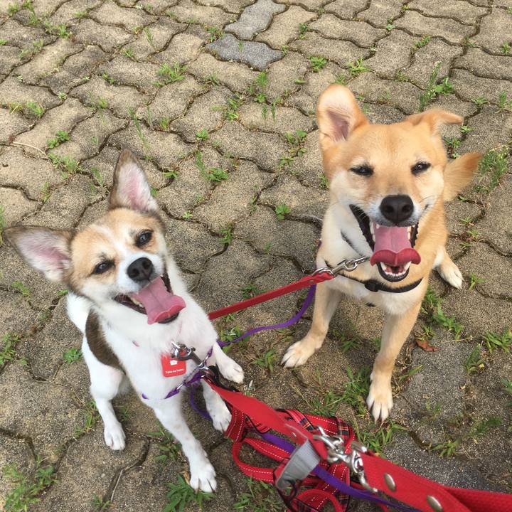 96305a2d 6a9d 4b28 ad92 8fb6e34c441c 1564652730441