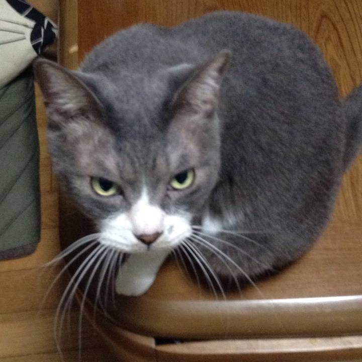 963074e6 1c54 4fb3 9c68 d54930ef96c7 1535724201304