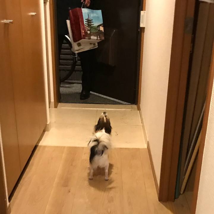 9630a100 9ef3 4f0c ab7d 8bb84a86afac 1511012988385