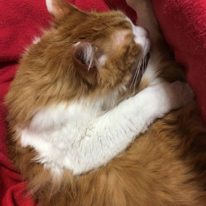 9630bcb9 2c36 4375 8c80 410234f6c238 1517569541944