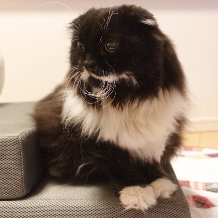 9630c1eb 7457 4e91 9ec1 0af41906d2ba 1570112591352